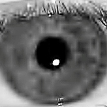 DoD Urged to Enforce Biometric Standards